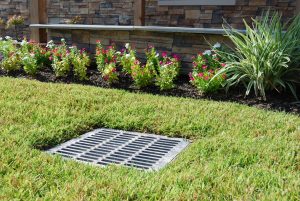 Finished french drain with grass